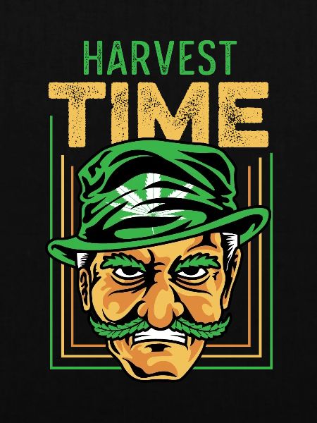 Erntezeit Stoner Gift
