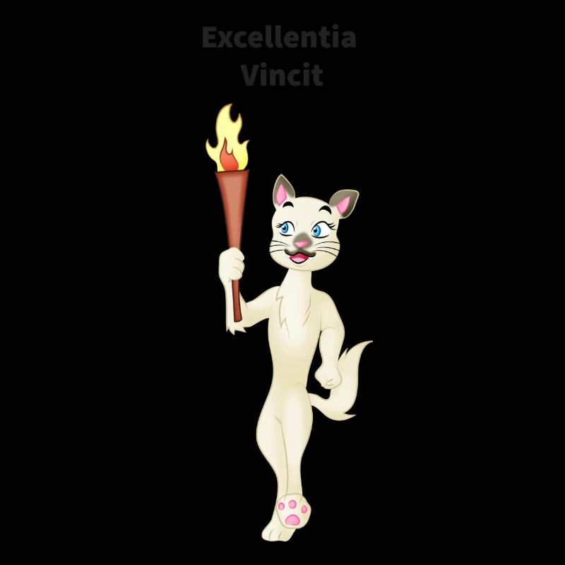Running cat with torch