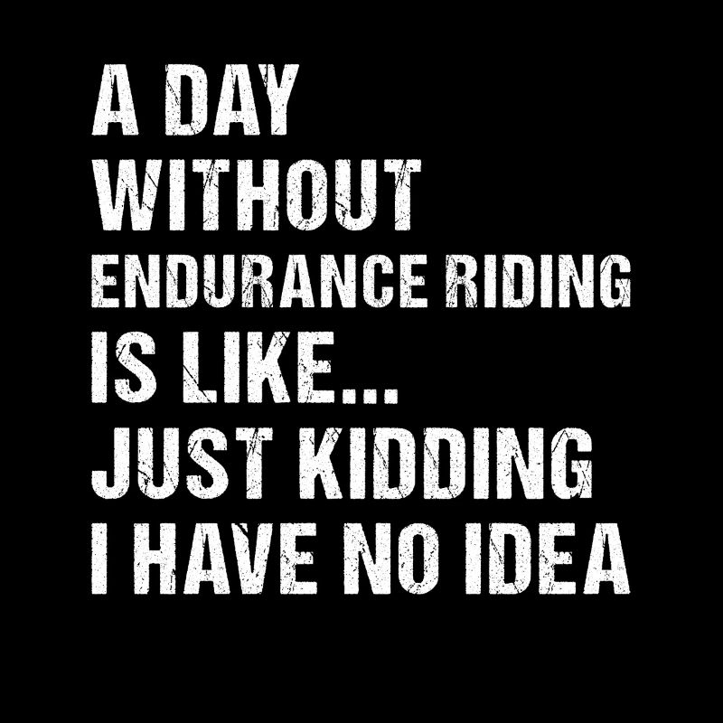 Rider A Day Without Endurance Riding