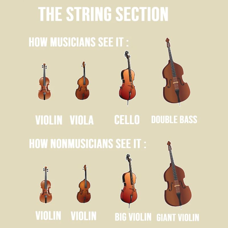 String Section City Conductor Gift