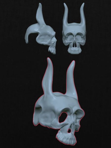 Detailliertes Hasenskelett Design