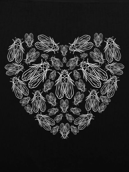 Cicadas Heart