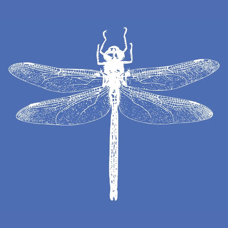 Libelle
