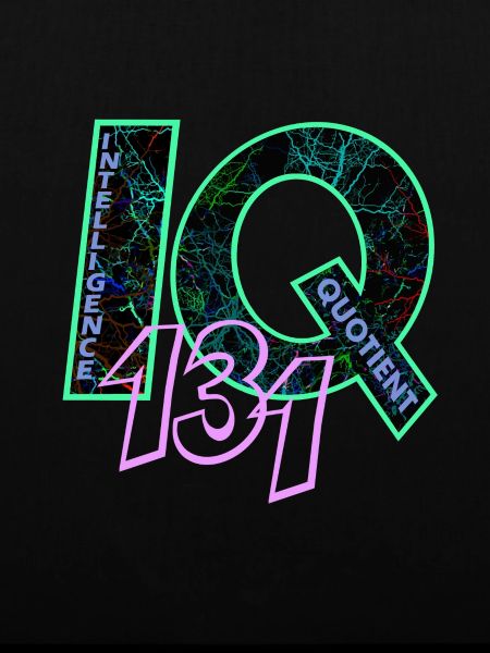 IQ 131