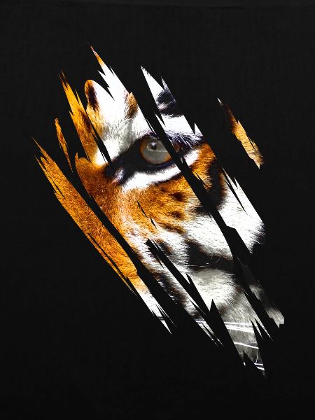 Tiger Eyes