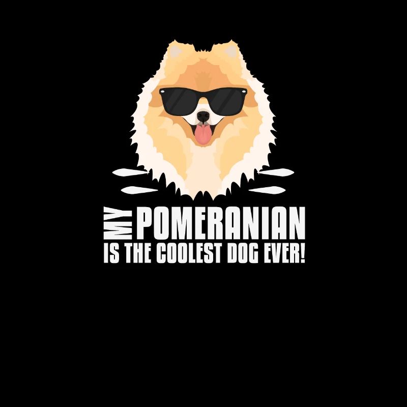 Mon spitz nain est le plus cool
