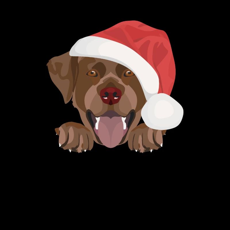 Joyeux Noël Labrador