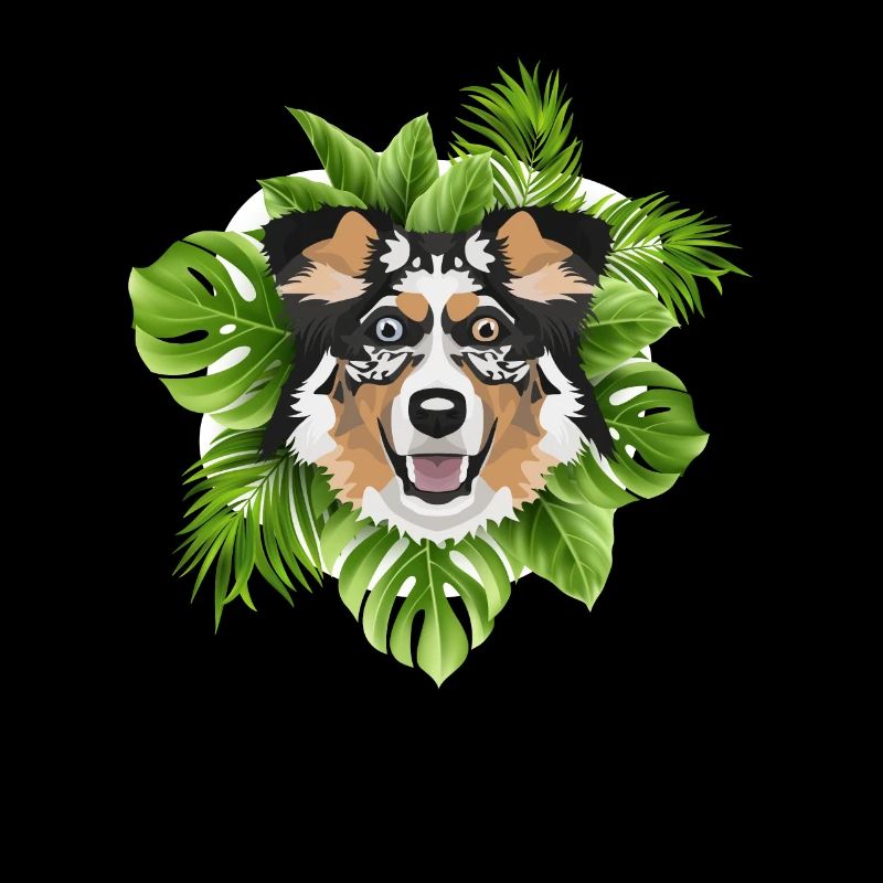 Tropical Australian Shepherd