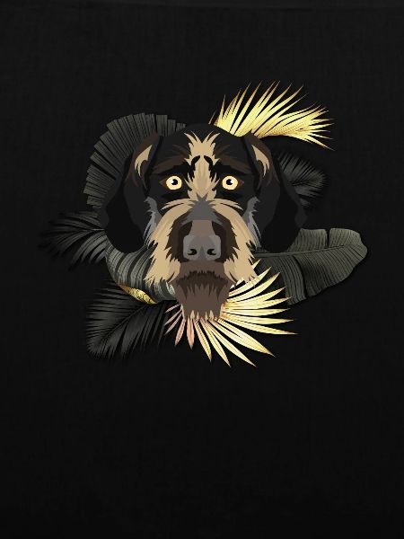 Goldener Hund Deutsch Drahthaar