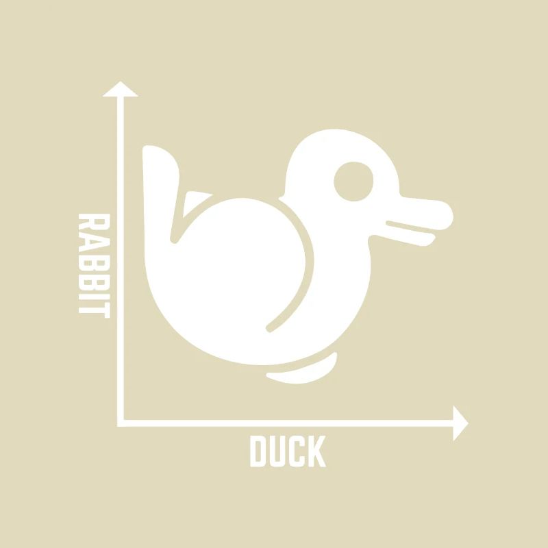 Rabbit Duck Graph Math Pun Student Teacher Easter