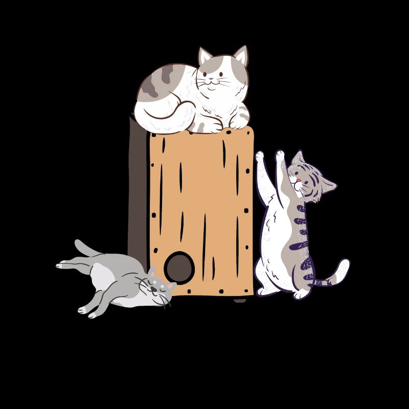 Cajon Box Drum Instrument Peruvian Cajon