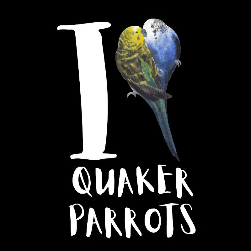 Blue Quaker Parrot Mom