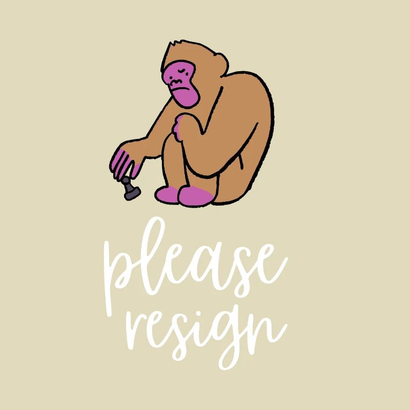 Chess Please Resign