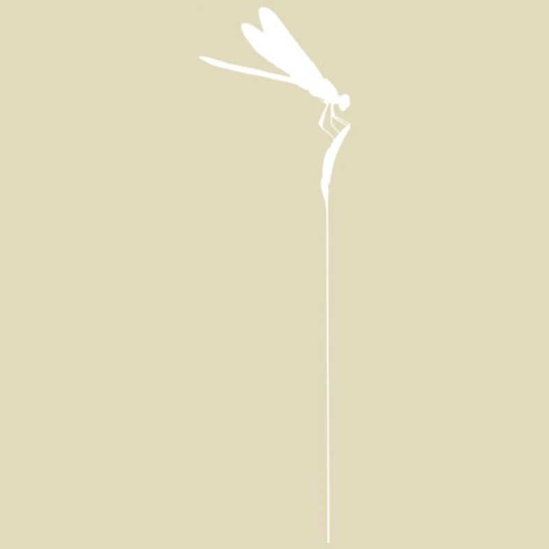 Zen-Libelle – Minimalistischer Kachimushi-Geist