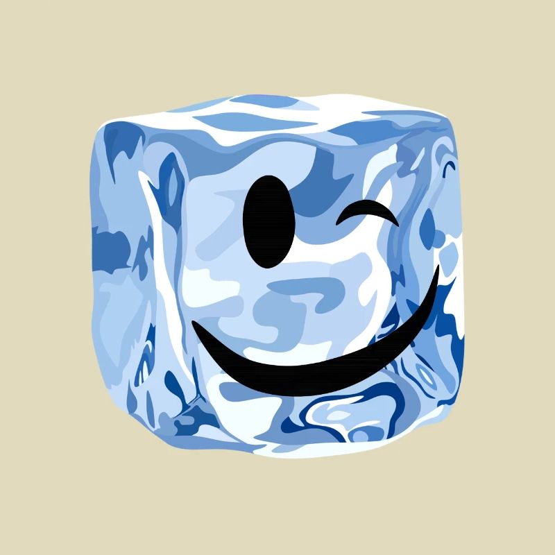 cube ice wink