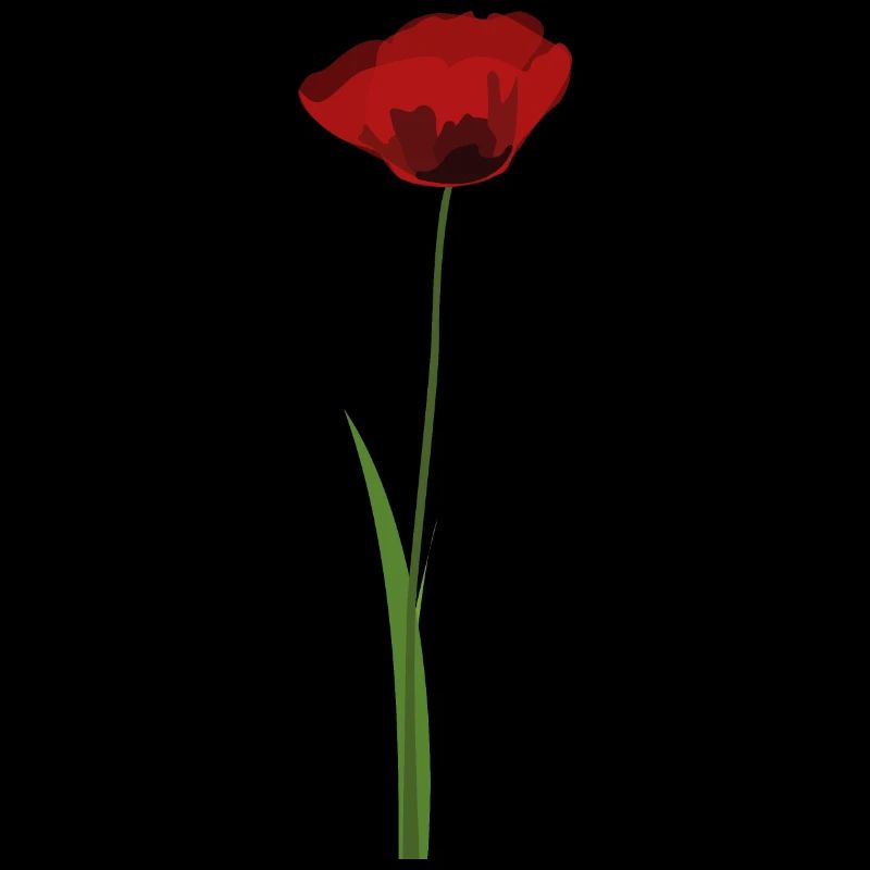 Mohn