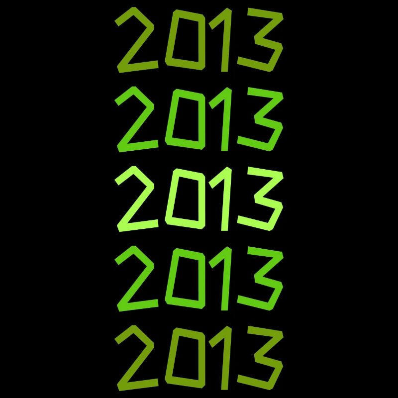 2013 2013