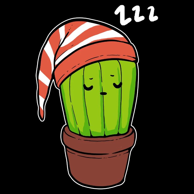 Sleeping Cactus Hyperomnia Cadeau