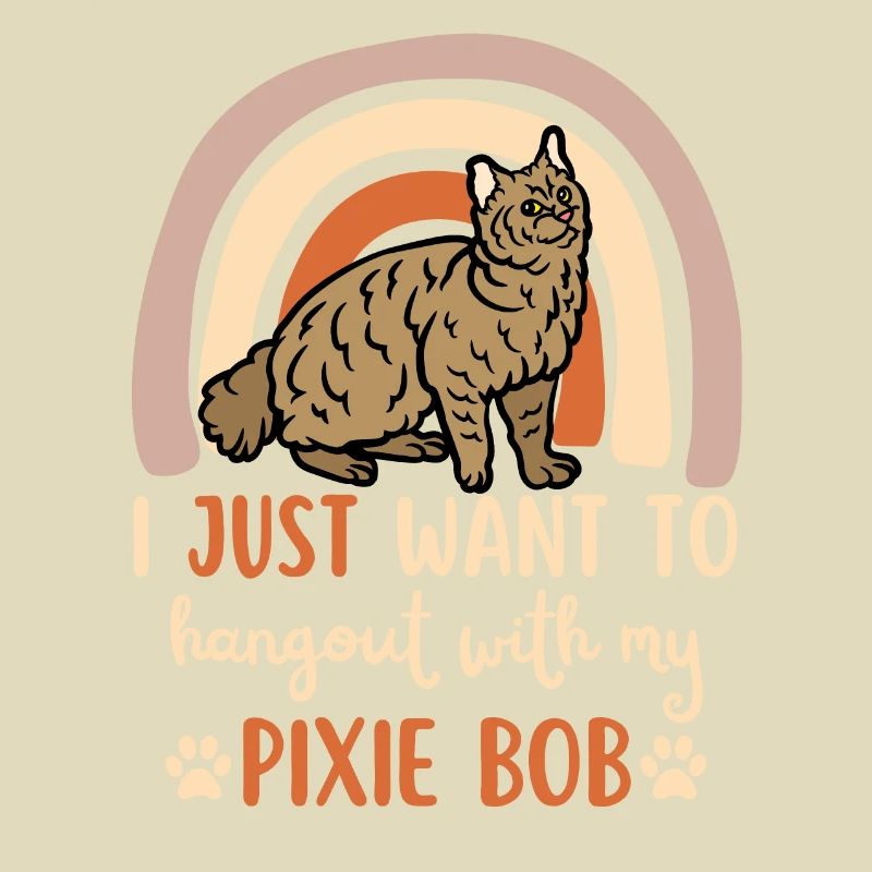 Cute Pixie Bob Cat