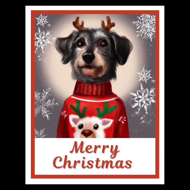 Schwarzer Zwergschnauzer im Weihnachtspullover.