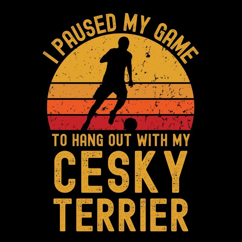 Fußball und Cesky-Terrier