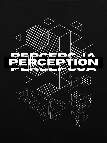 Perception Geometry Mystique