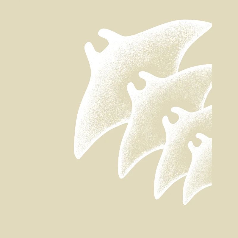 Dive Underwater Manta Ray Gift Idea