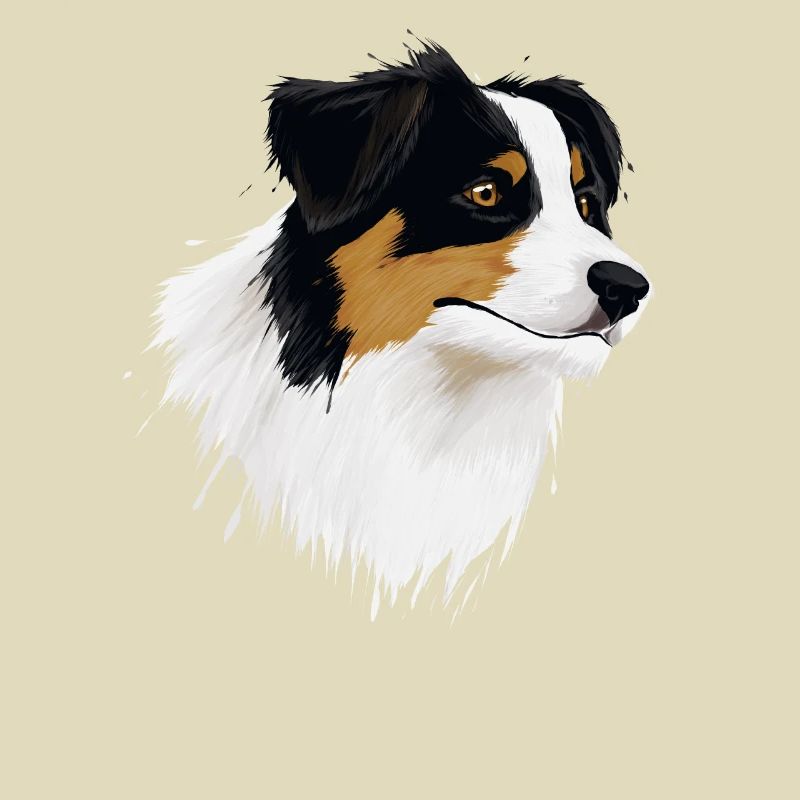 AUSTRALIAN SHEPHERD