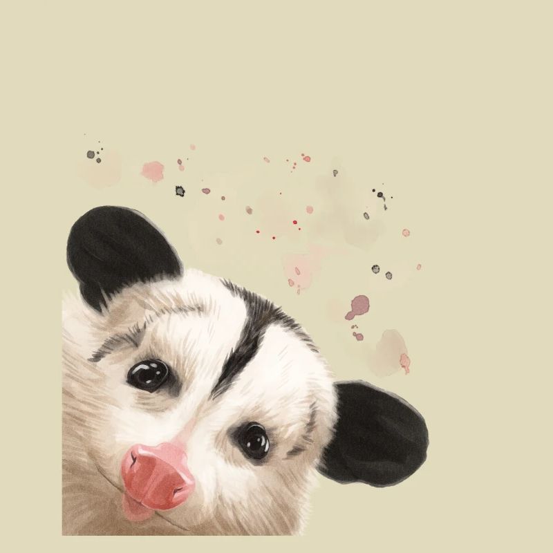 Neugieriges Opossum