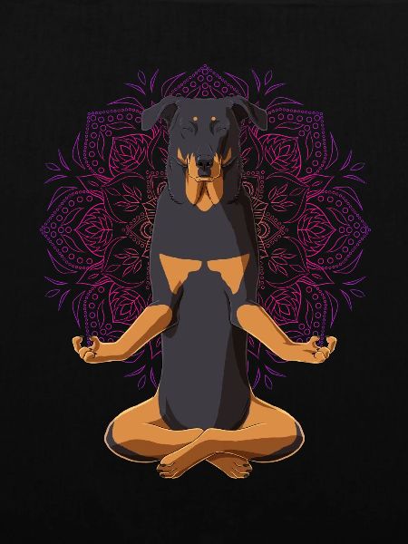 Beauceron Hund Meditation