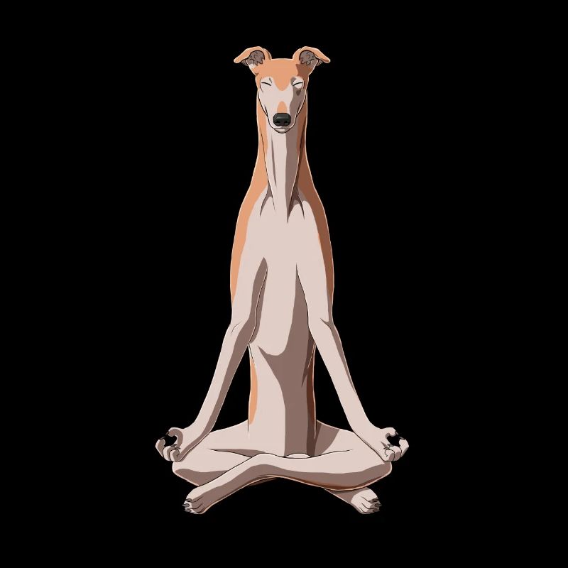 Meditating Greyhound Dog