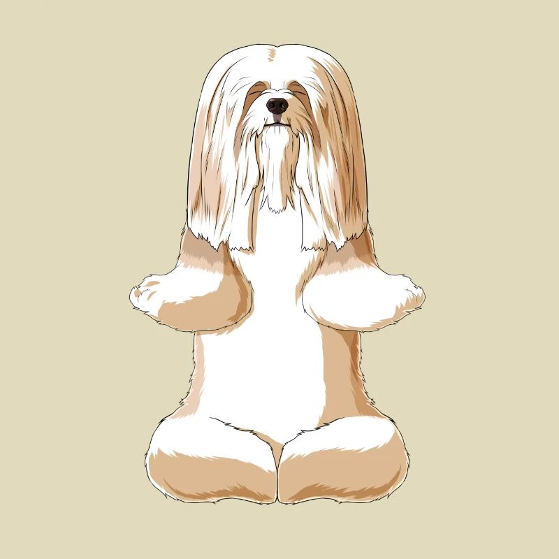 Meditating Lhasa Apso Dog