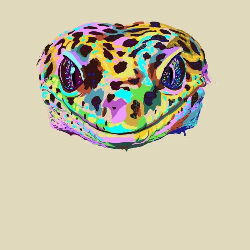 Leopard Gecko couleur