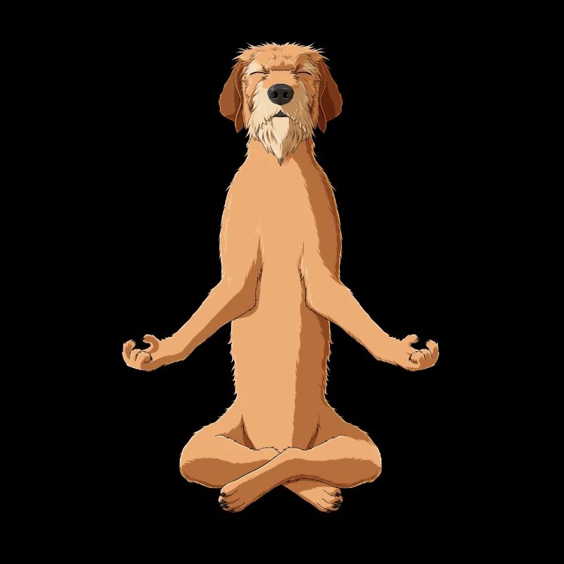Meditate Styrian Coarse Haired Hound
