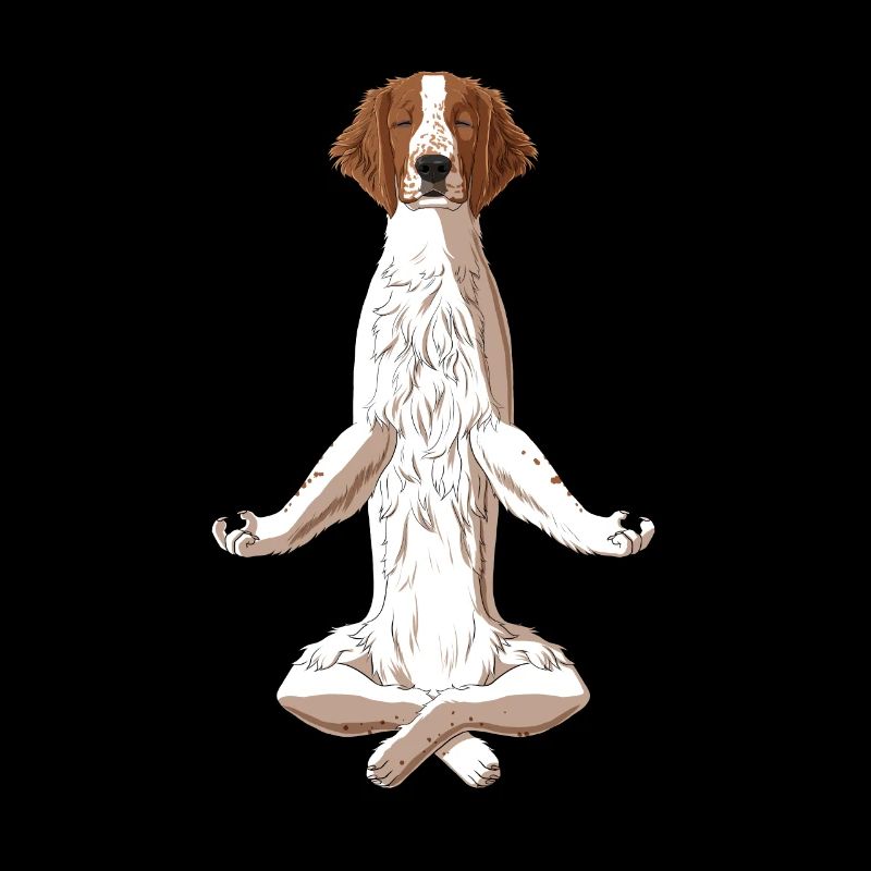 Chien Welsh Springer Spaniel Méditant