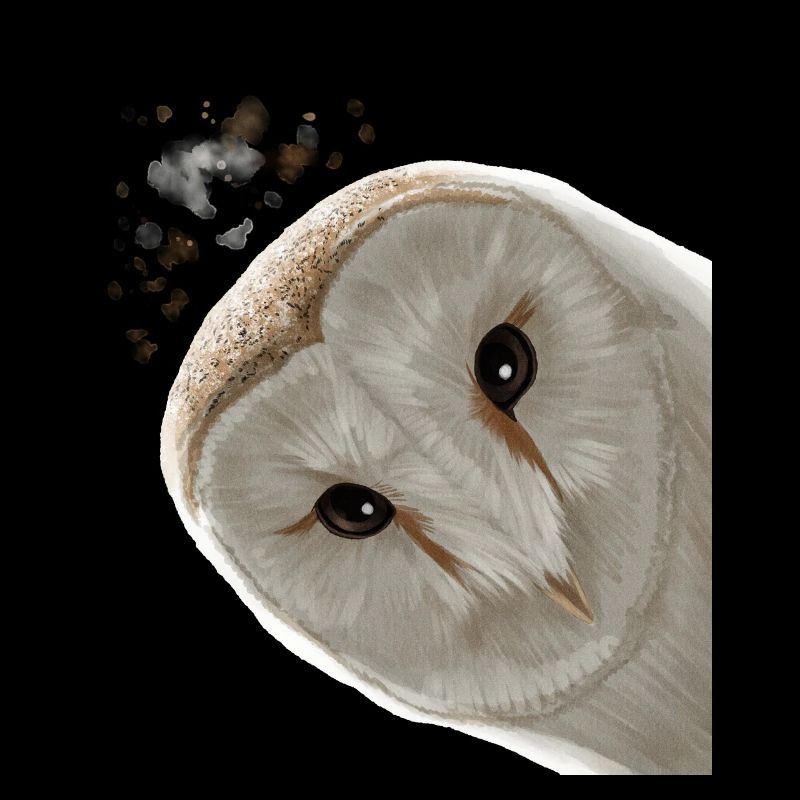 Funny Curious Owl