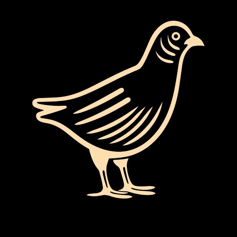 cailles petit oiseau caille