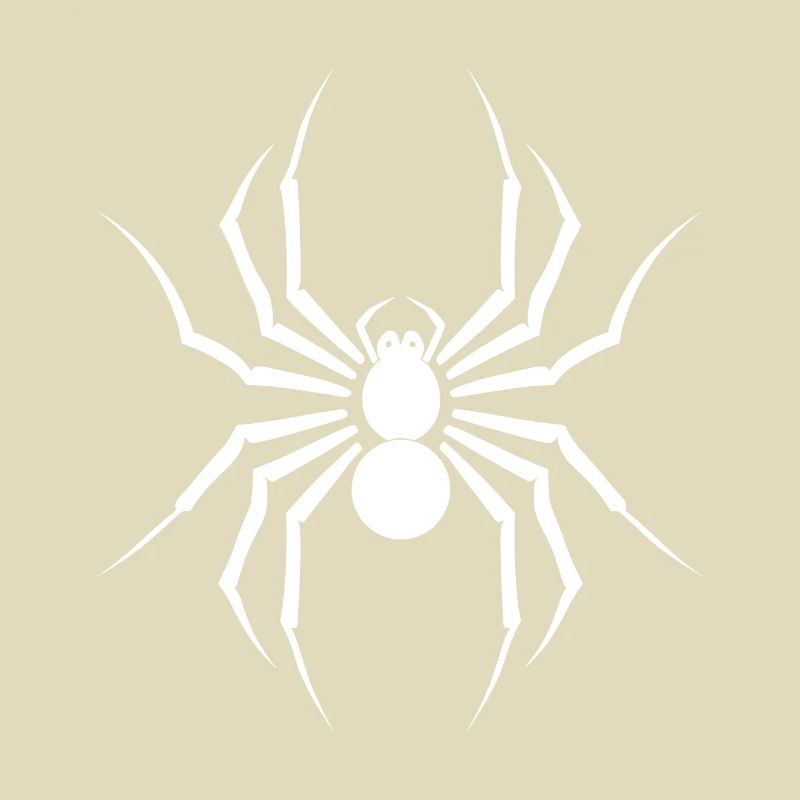 Spinne