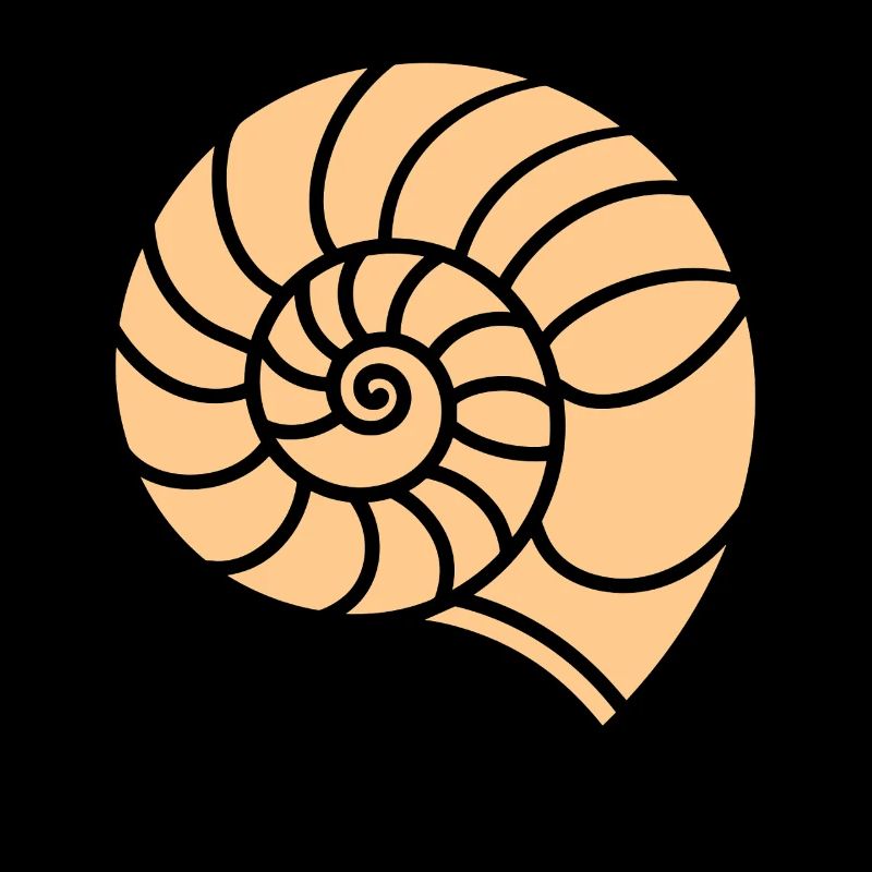 coquillage