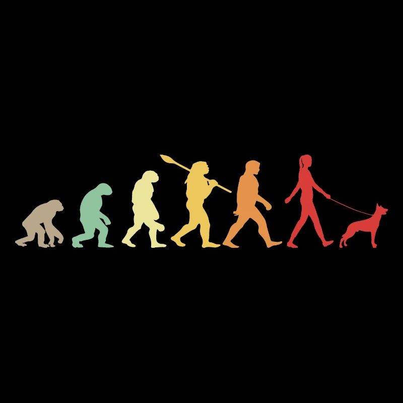 Évolution Drôle Chien de Berger Belge Malinois