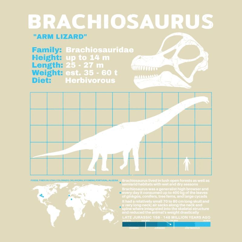 Fiche technique de Brachiosaurus