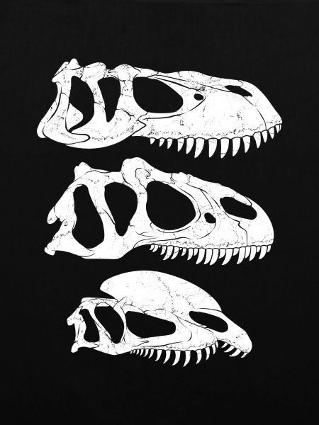 Torvosaurus Allosaurus Dilophosaurus