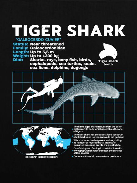 Tigerhai Fact Sheet Datenblatt