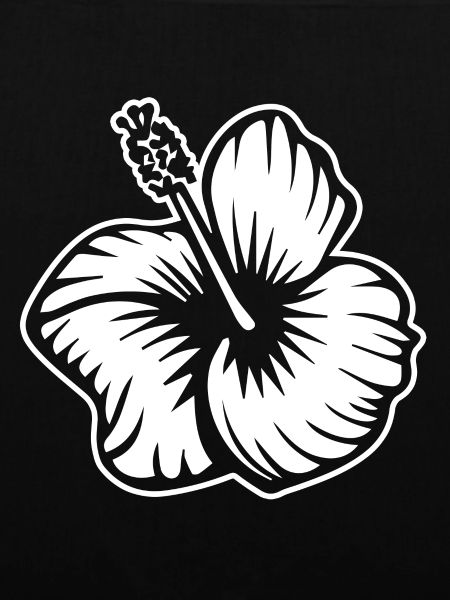 Hibiskus