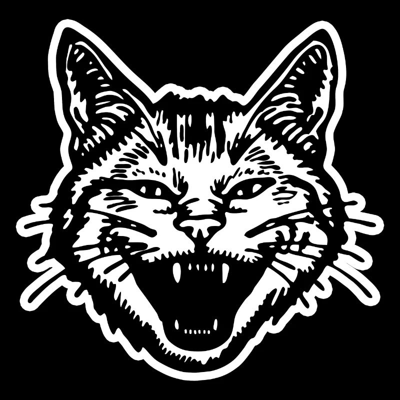 Chat Chats Chat Dame Chat Amoureux Chat Visage