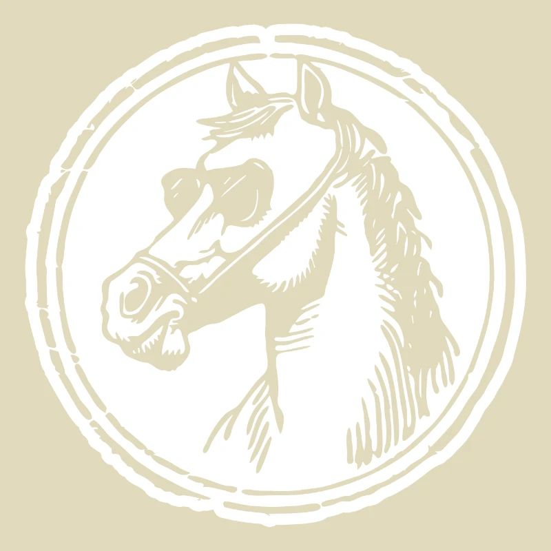 Pferd Pferde Pferdekopf