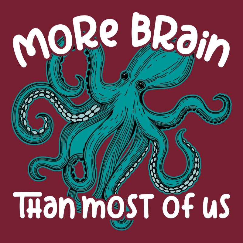 Smart Octopuses - Big Octopu