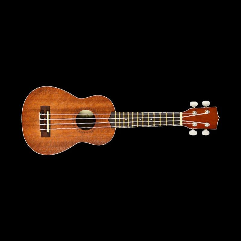 Gitarre Ukulele