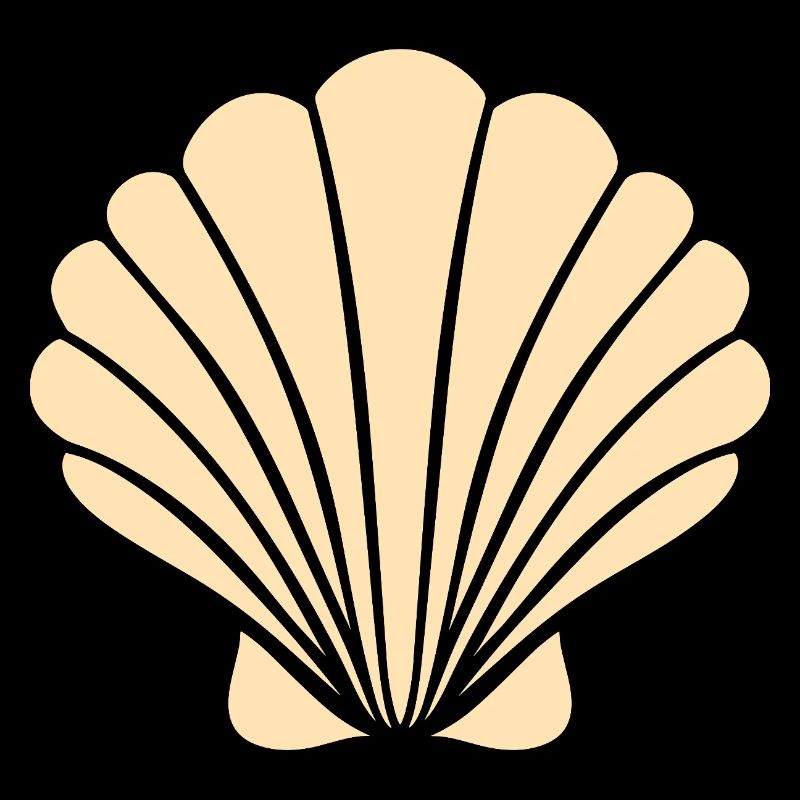 coquillage