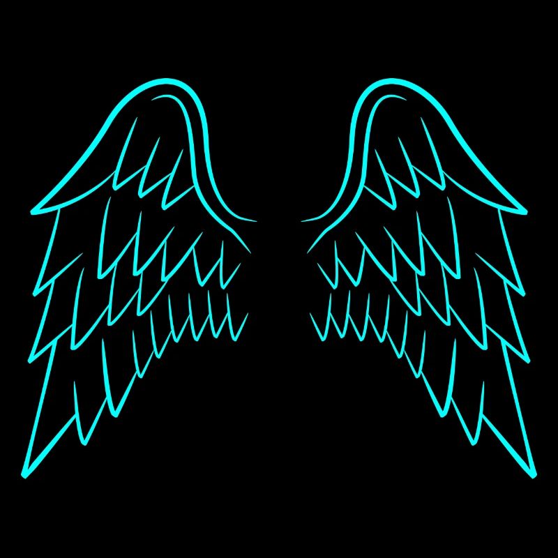 Ailes d'ange ailes